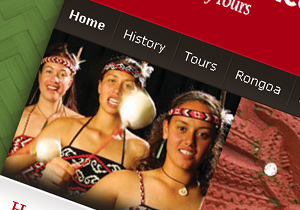 maori web design